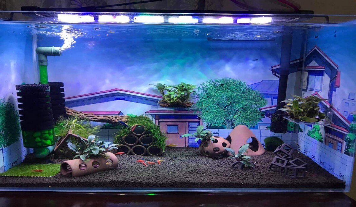 Basic Guide on Caring For Your Bonsai Aquarium Tree