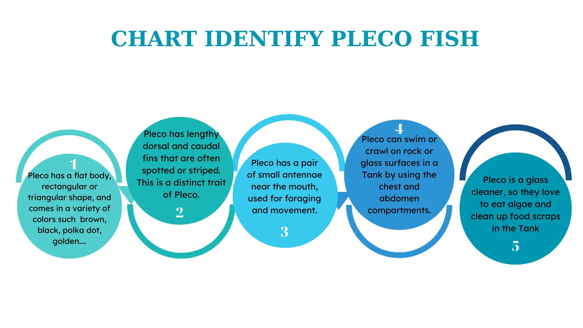 TRICK YOU TO IDENTIFY PLECO