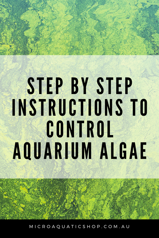 Step by step instructions to Control Aquarium Algae