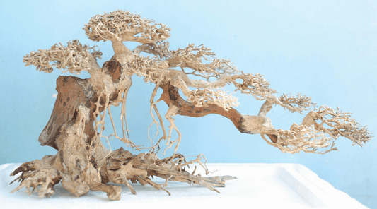 how to make an aquarium bonsai