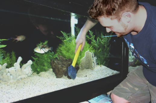 You Can Clean Your Fish Tank Easily And Tips For Self-Cleaning Aquariums.