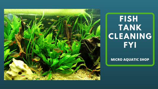Fish tank cleaning FYI