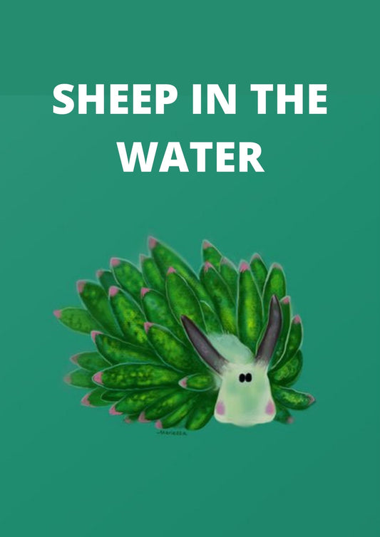 Did you know that there's a sheep in the water?!