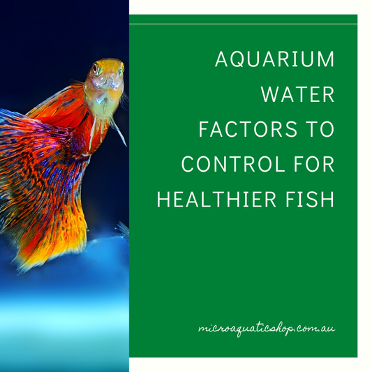 Aquarium Water Factors to Control for Healthier Fish