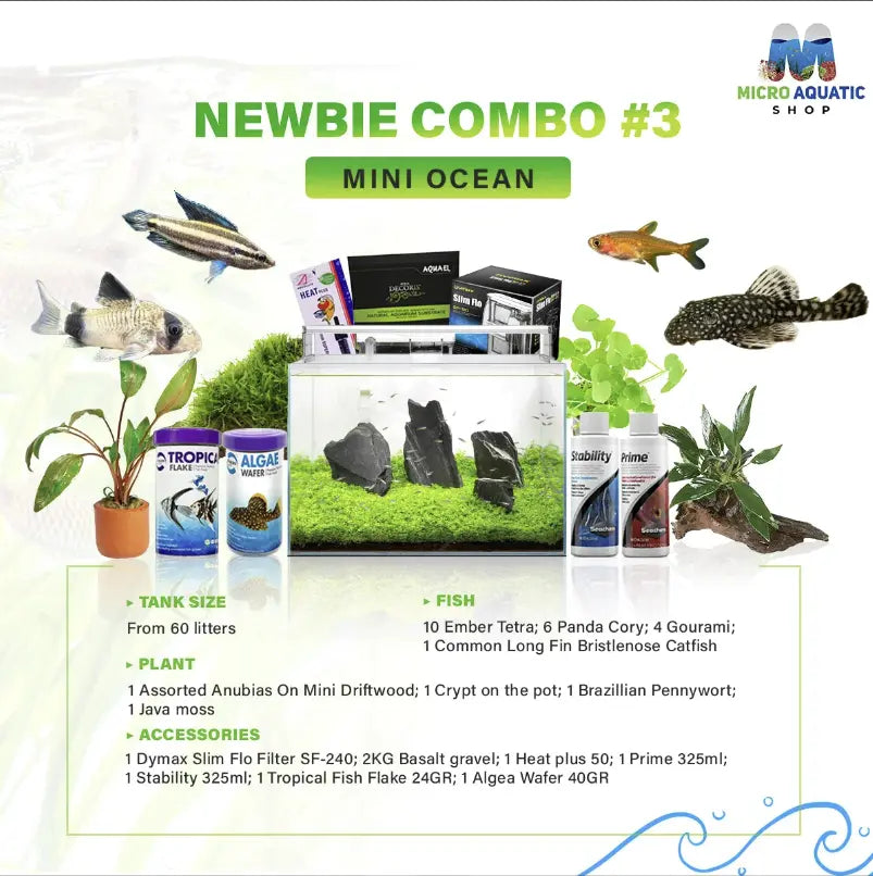 GOOD COMBO FOR BEGINNER AT AUSTRALIAN ONLINE FISH STORE.