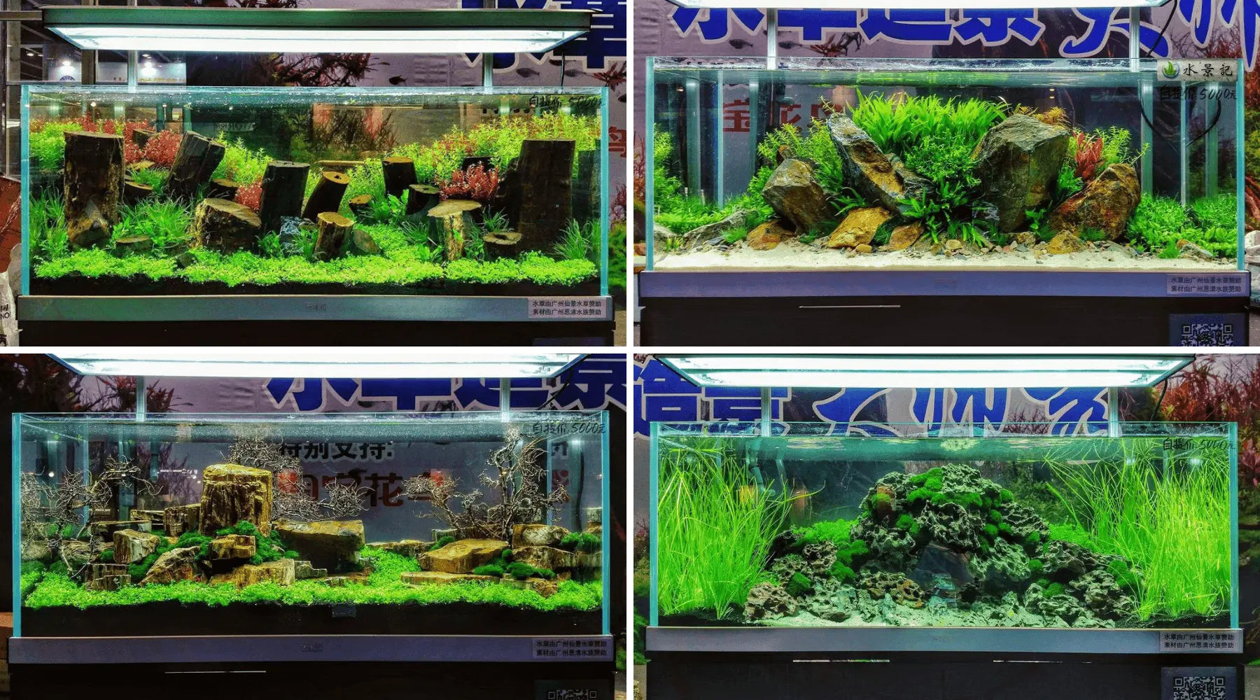 Masters Show Aquascaping at Aquarama 2016
