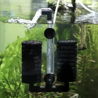 How to Upgrade an Aquarium Filter and Save Your Money