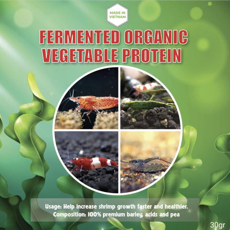 9+ Best Foods for Freshwater Aquarium Shrimp