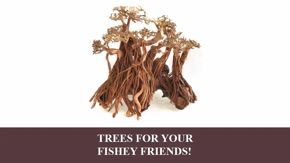 Fish Monkey Tree Making 3 Easy Aquarium Bonsai Trees For Your Planted Tank - Micro ...