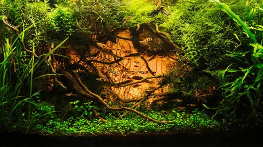 types of aquarium equipment component