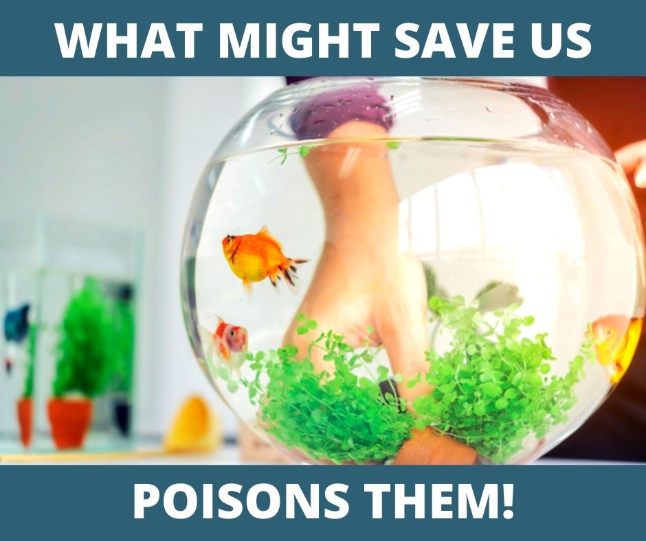 What might save us, poisons them!