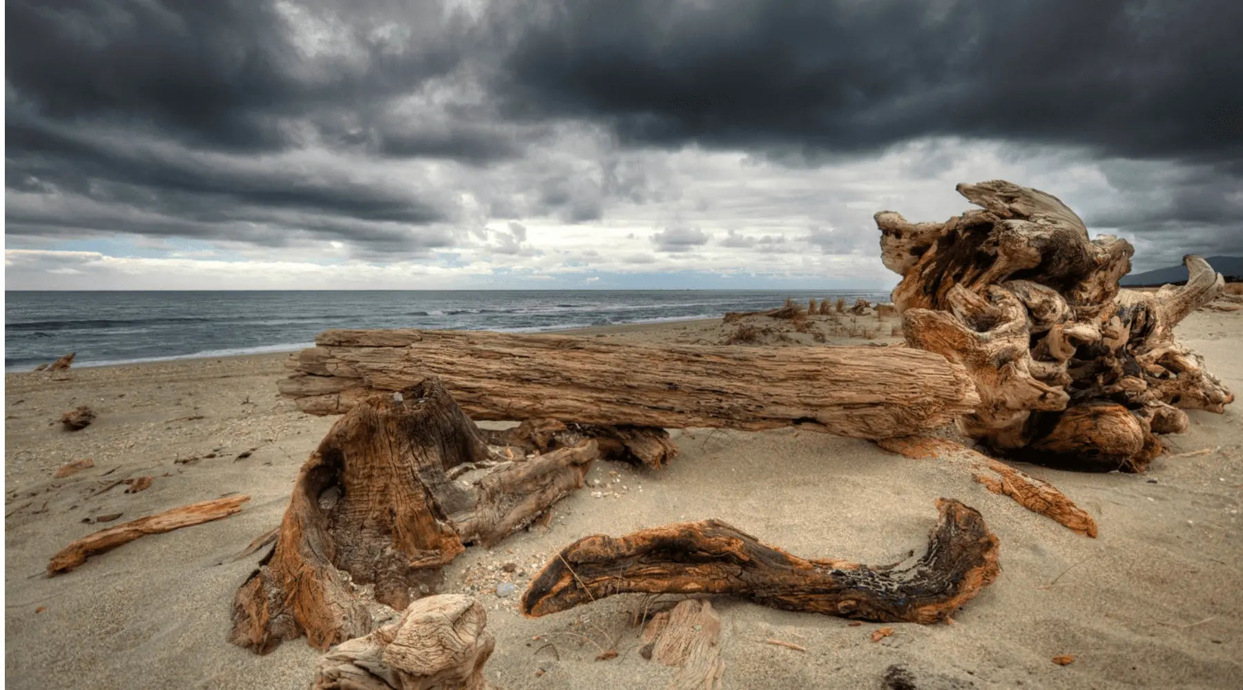 why should you buy natural driftwood?