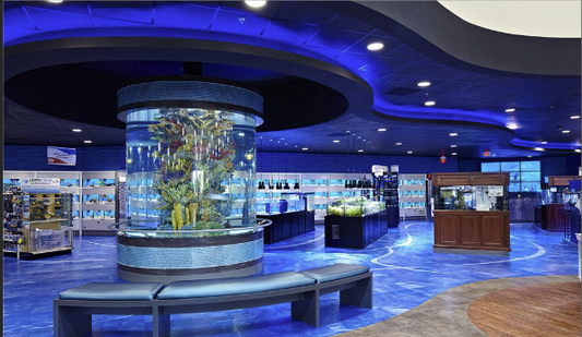 Your Perfect Destination for First-Time Aquarium Enthusiasts!