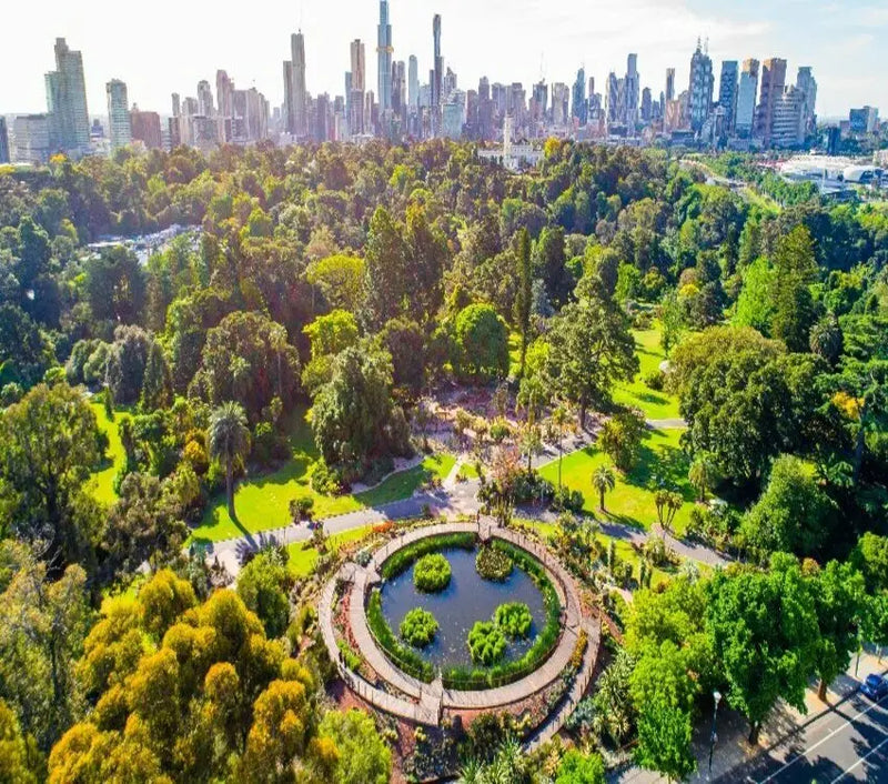 Melbourne is Coastal city, with Beautiful Fish