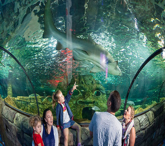Terrestrial Aquarium, don't forget fish stores Sydney