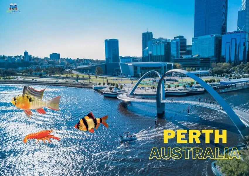 Aquarium Store in the coastal city of Perth