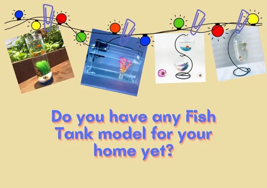 Five ideas for selecting the ideal aquarium for your house