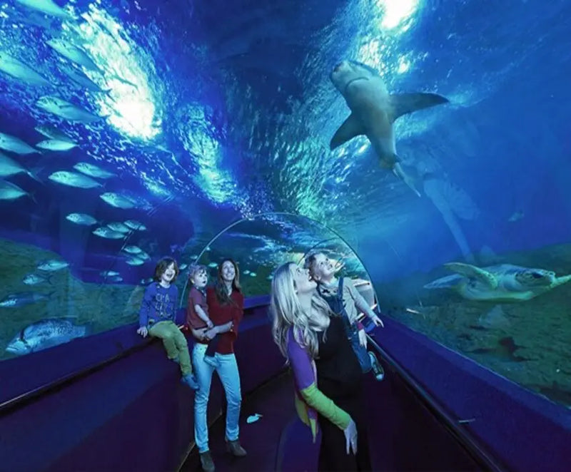 Four experiences 'everyone can't miss' in Perth Australia