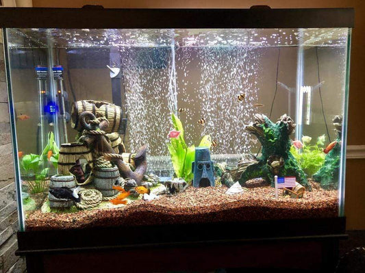 Tips on Aquarium Care and Cleaning to Keep Aquarium Water Crystal Clear