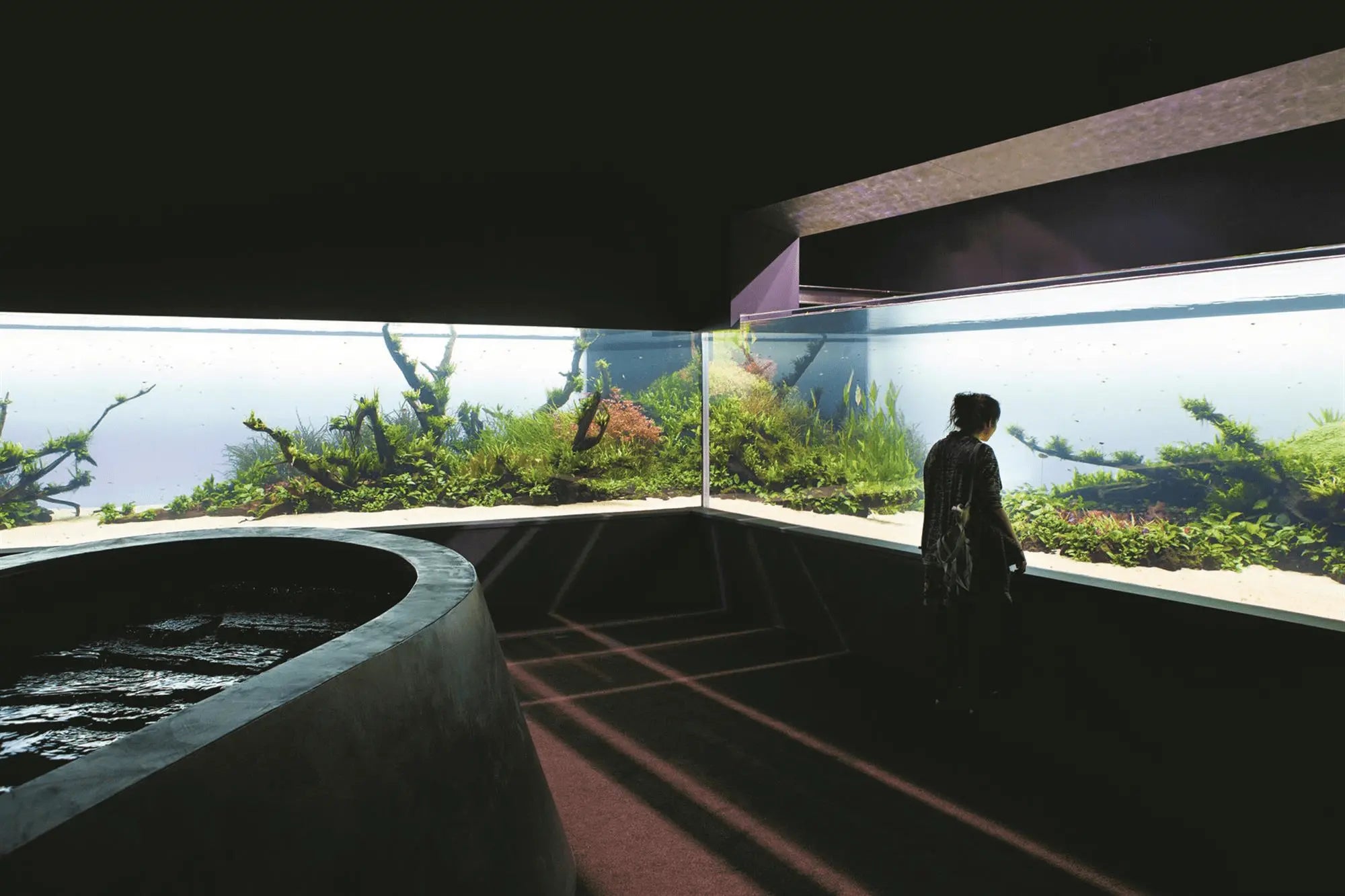 Aquarium Water Quality Management Guide For Your Healthy Aquarium Enviroment