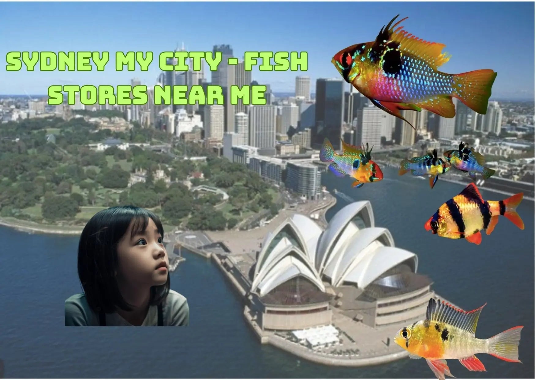 The Advantage of purchasing fish from an Aquarium Stores near Me