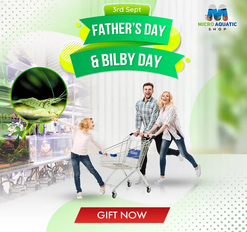 Welcome to the Bilby festival, Purchase straight to obtain Instant Gifts