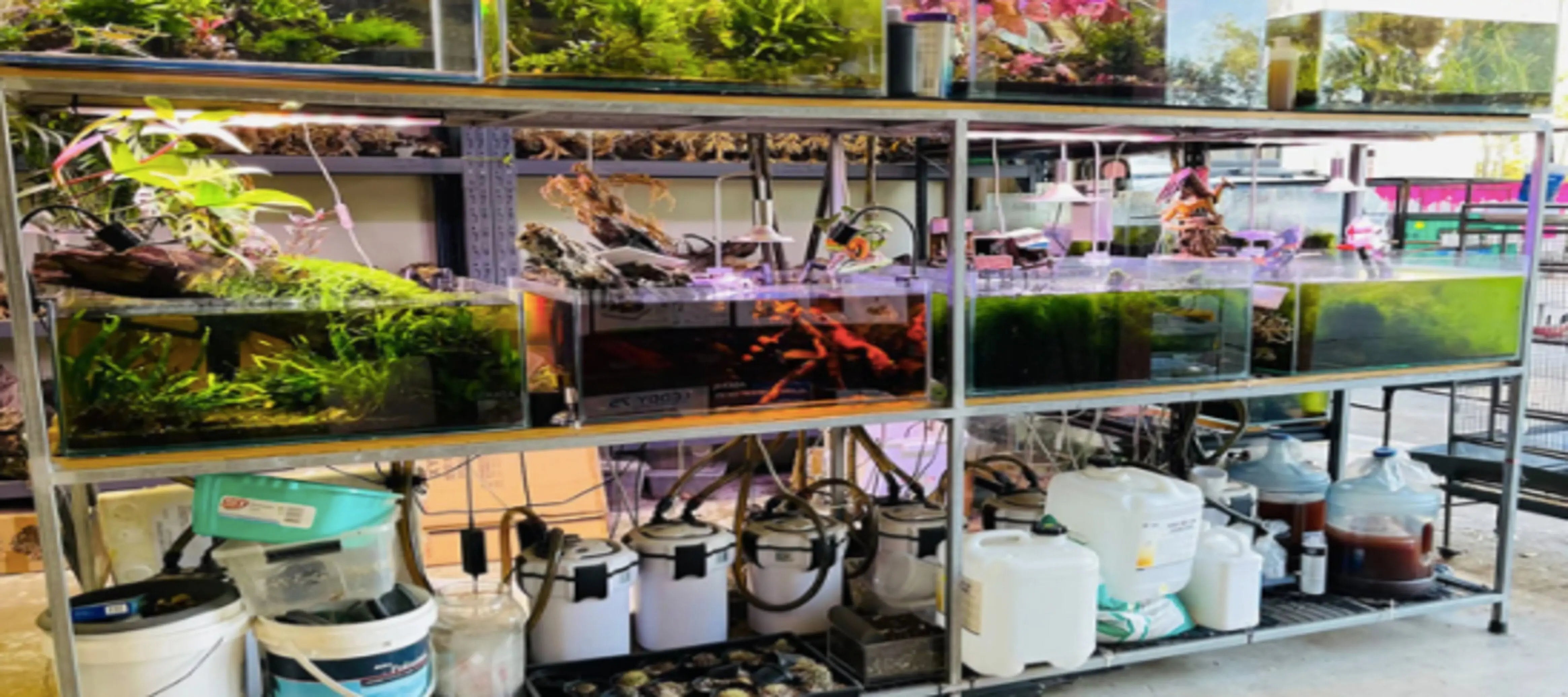 The Best Aquarium Shop in Sydney For All Your Fishing Needs