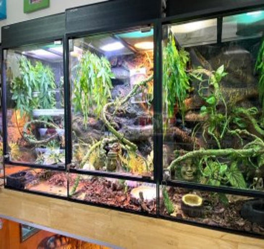 Basic considerations for selecting a trustworthy reptile and Aquarium Store