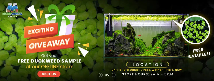 Interesting criteria for being the best online aquarium store in Australia