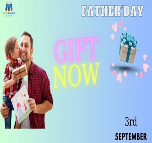 RECEIVE GIFTS PROMPTLY ON FATHER'S DAY