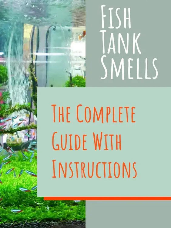 Why does my fish tank smell? I cleaned it thoroughly!
