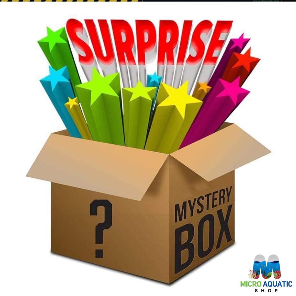 Mystery Box