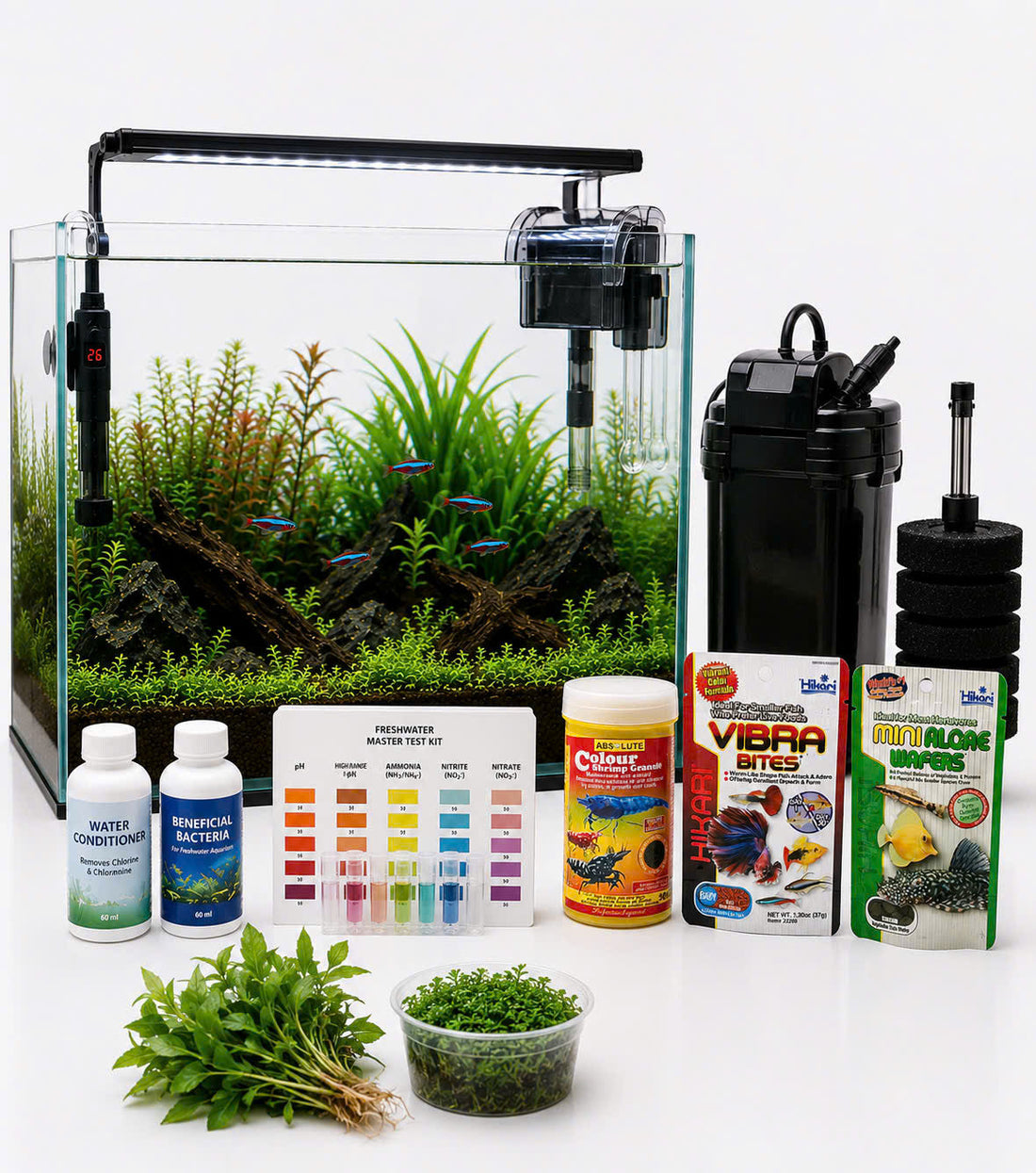 Start a Winter Tank Setup