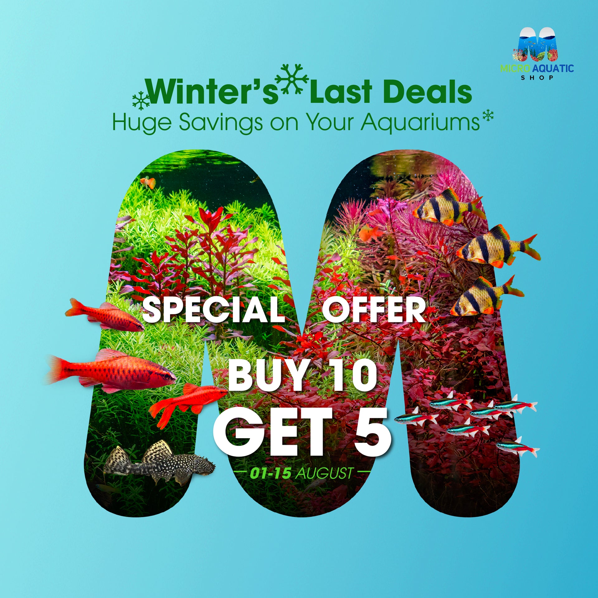 GIFT: Get 5 Free Fish Randomly From This List