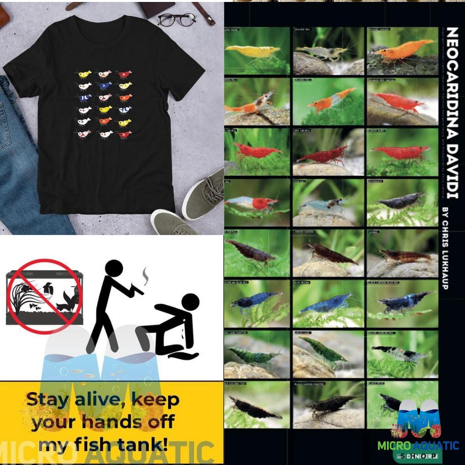 Merchandise