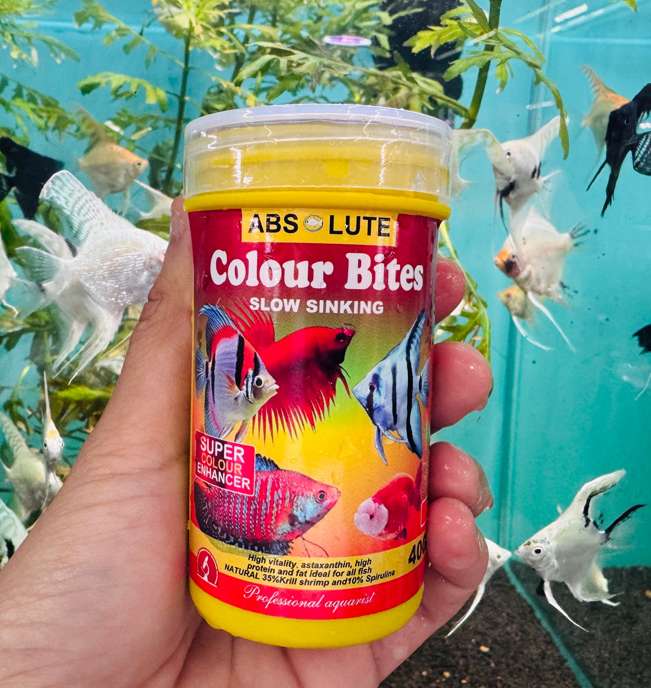 Absolute Colour Bites (Slow Sinking) Micro Aquatic Shop