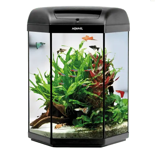 Aquael Hexa Set LT 60L Black Aquarium Set Micro Aquatic Shop