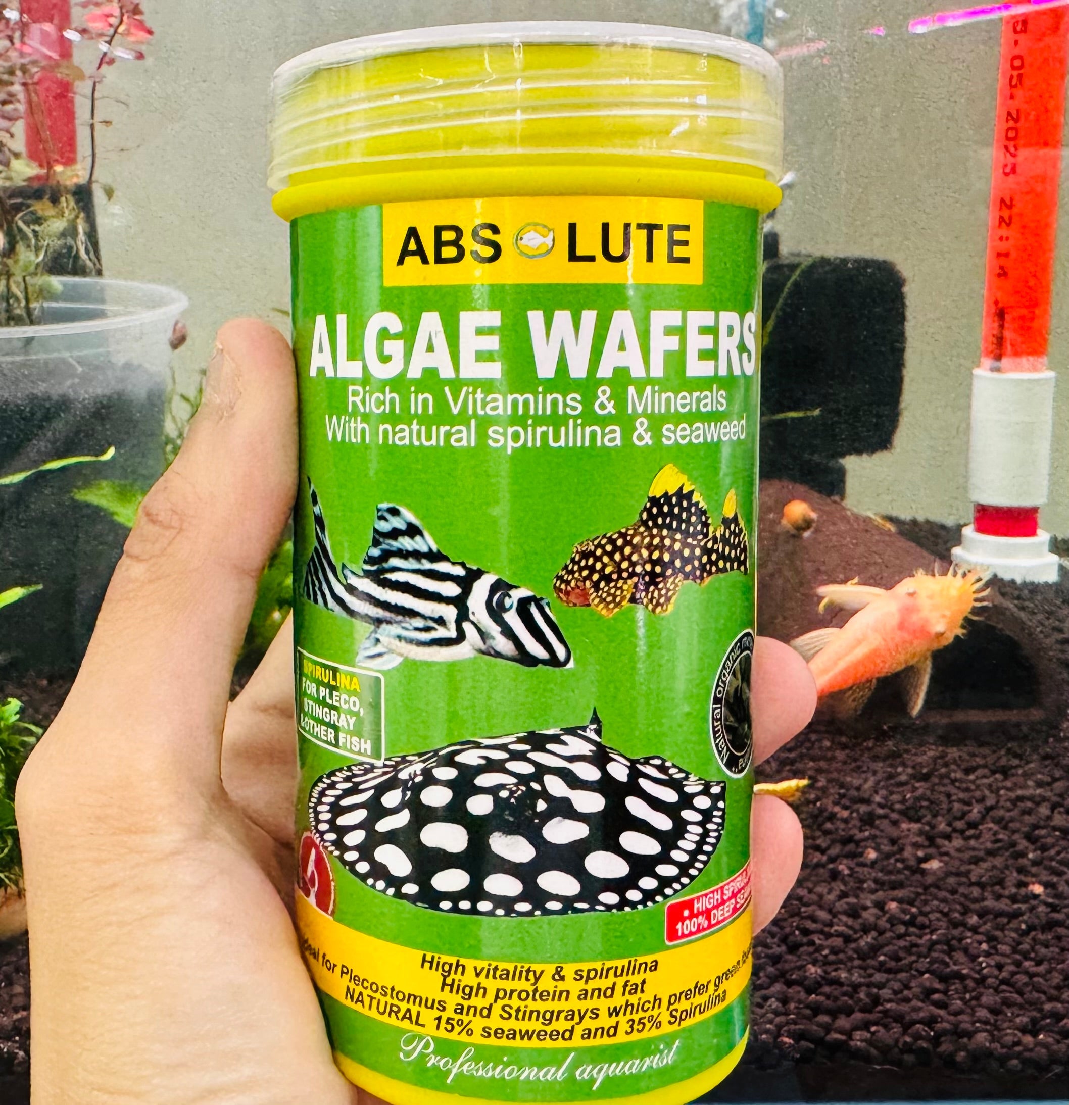 Absolute Algae Wafers Micro Aquatic Shop