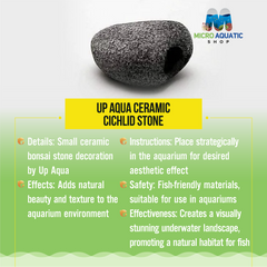 Up Aqua Ceramic Cichlid Stone