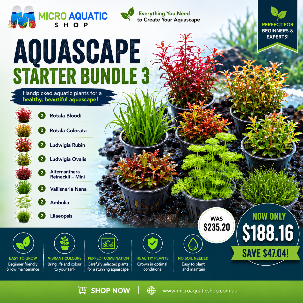 Aquascape Starter Bundle 3 Micro Aquatic Shop