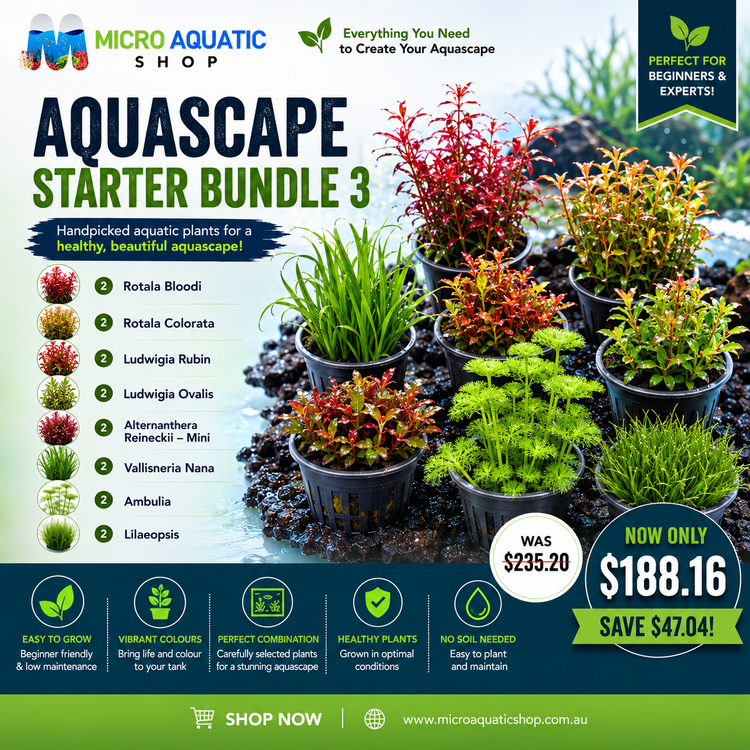 Aquascape Starter Bundle 3 Micro Aquatic Shop