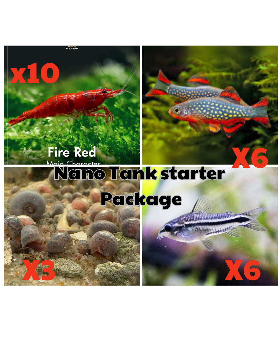 *New* Nano Tank Starter Package 2