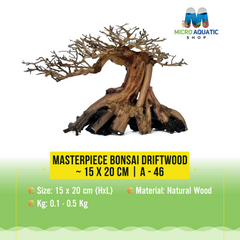 Masterpiece Bonsai Driftwood ~ 15 x 20 cm | A - 46