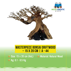 Masterpiece Bonsai Driftwood ~ 15 x 20 cm | A - 44