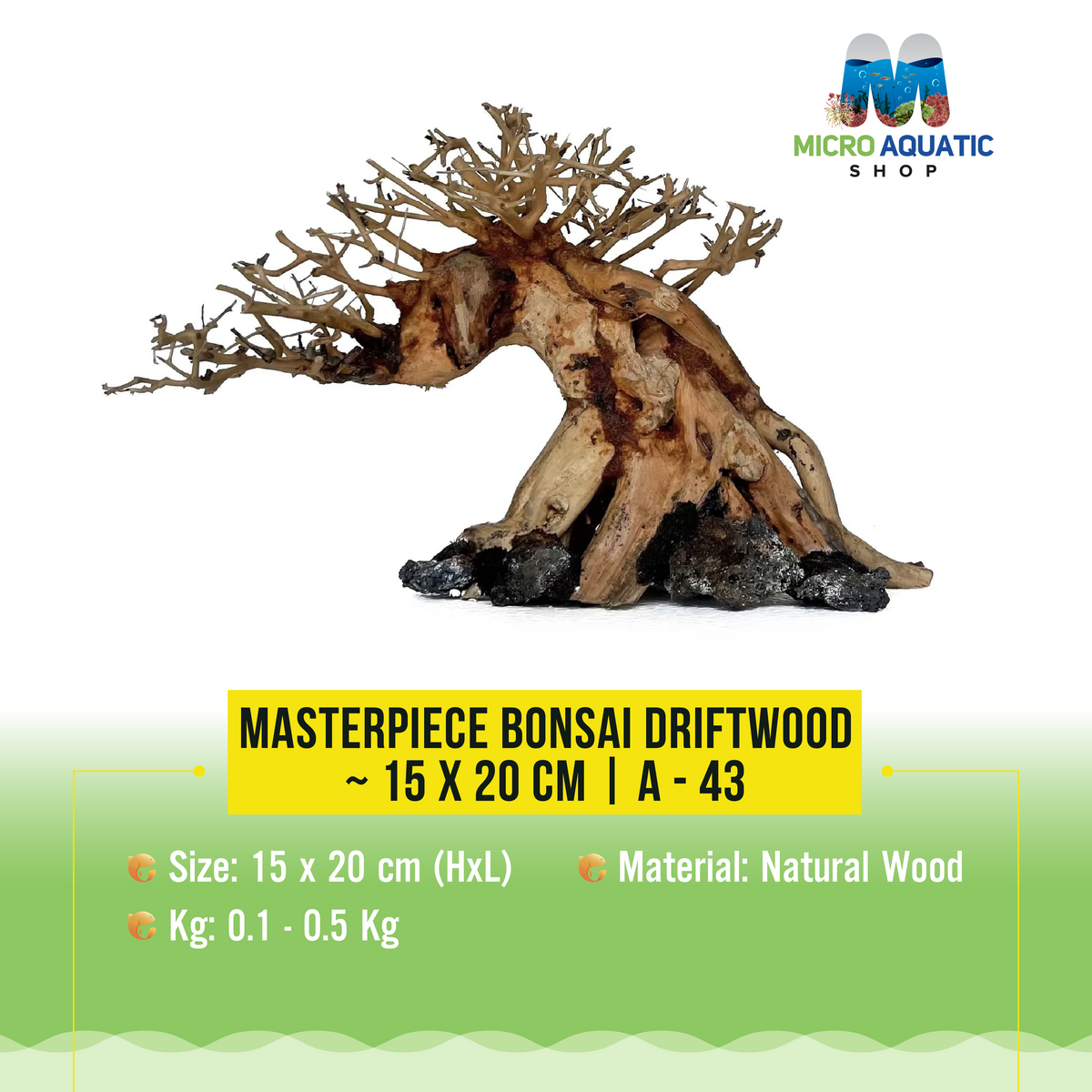 Masterpiece Bonsai Driftwood ~ 15 x 20 cm | A - 43