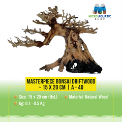 Masterpiece Bonsai Driftwood ~ 15 x 20 cm | A - 40