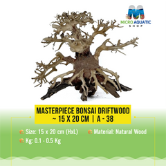 Masterpiece Bonsai Driftwood ~ 15 x 20 cm | A - 38