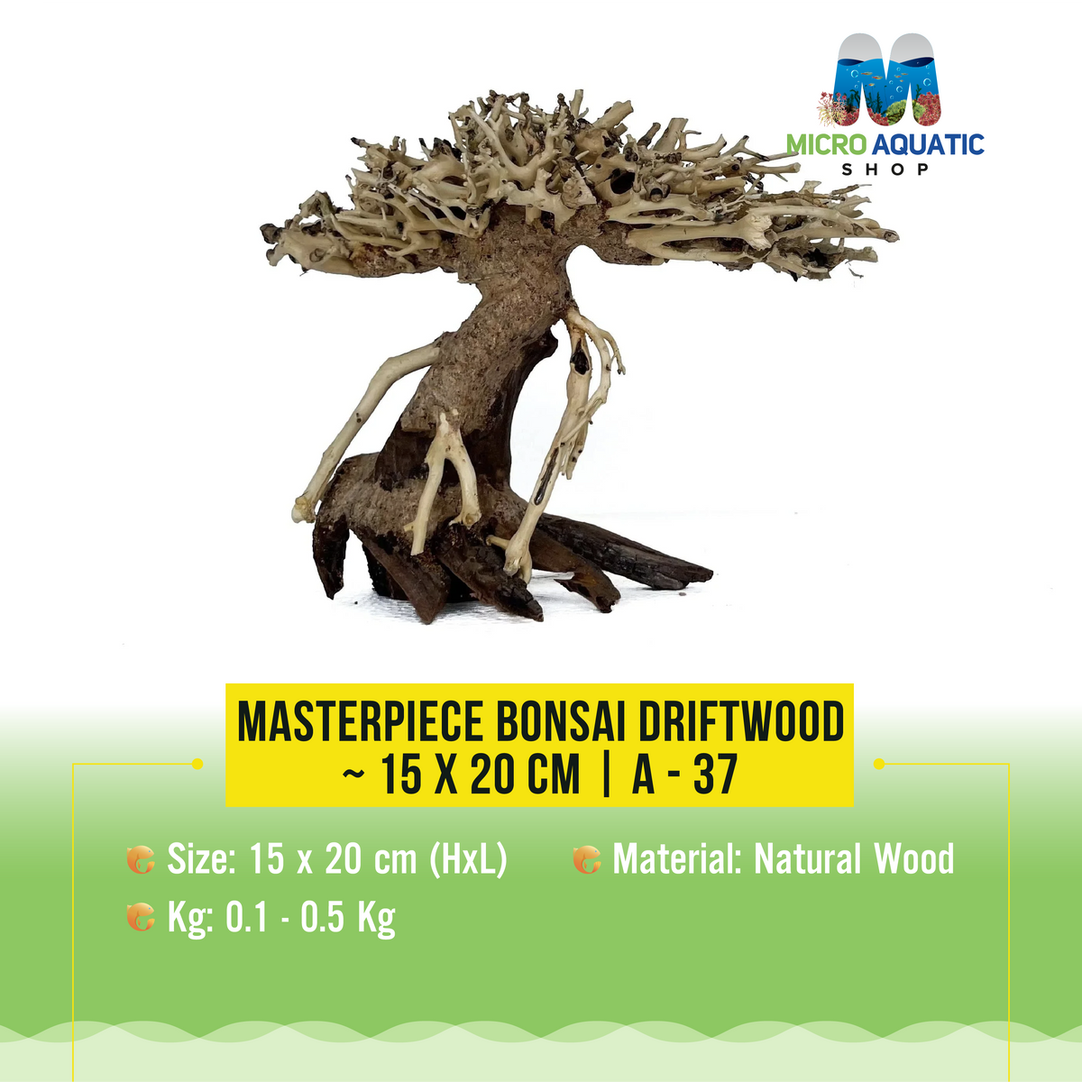 Masterpiece Bonsai Driftwood ~ 15 x 20 cm | A - 37