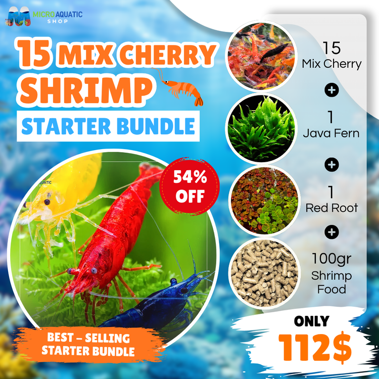 Mix Cherry Shrimp Starter Bundle