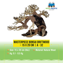 Masterpiece Bonsai Driftwood ~ 15 x 20 cm | A - 32